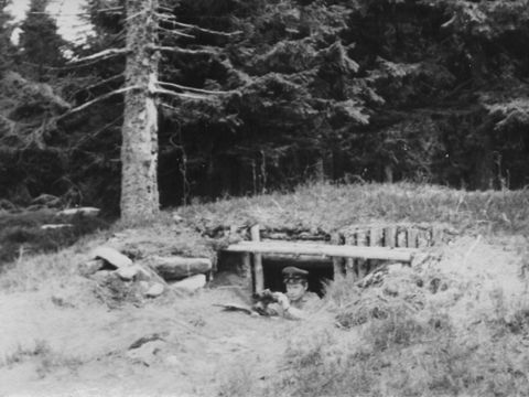 Foto 15